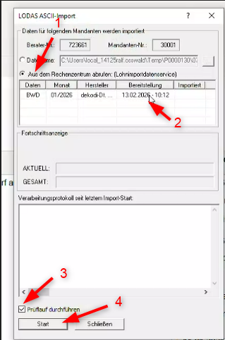 Import von per Lohndatenimportservice übertragenen Daten